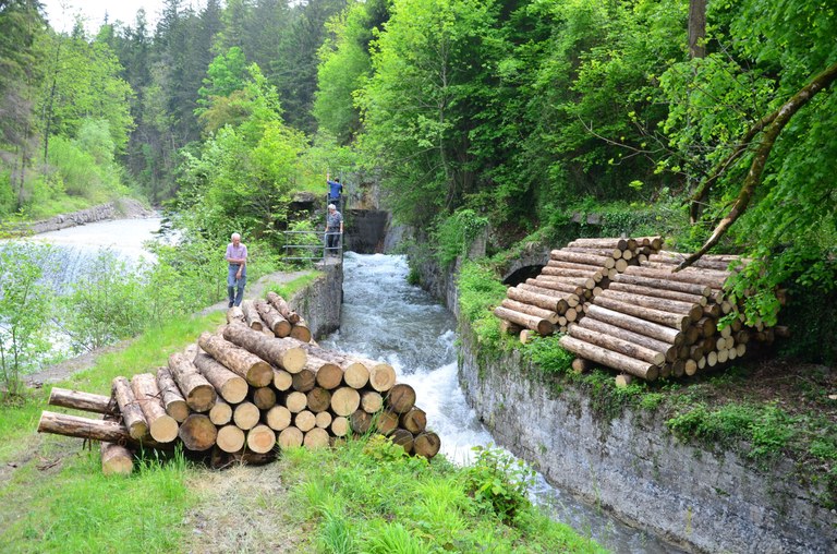 Holz in Vorbereitung für das Schauflözen 2019 © Werner Schnetzer